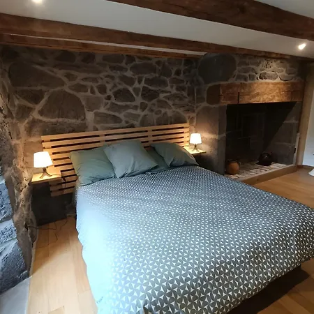 9 Personnes Puy Mary Ferienhaus Le Claux